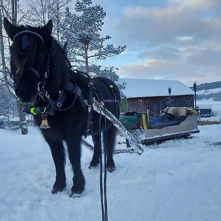 Ferienwohnung Fantgrenda Overnatting Os (Hedmark) Exterior foto