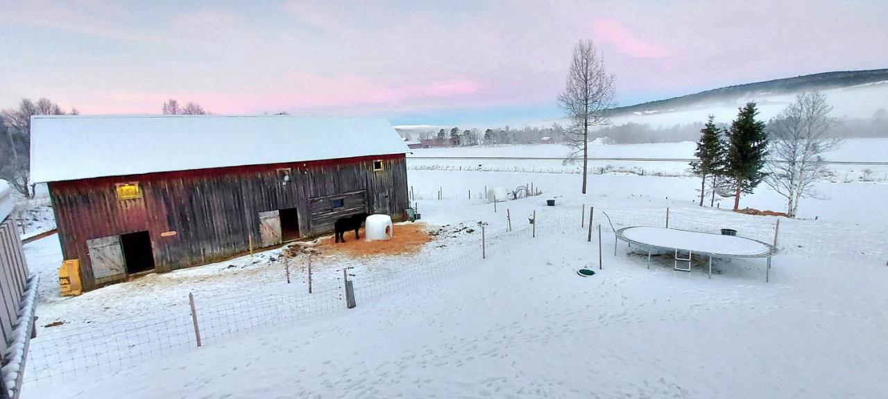 Ferienwohnung Fantgrenda Overnatting Os (Hedmark) Exterior foto